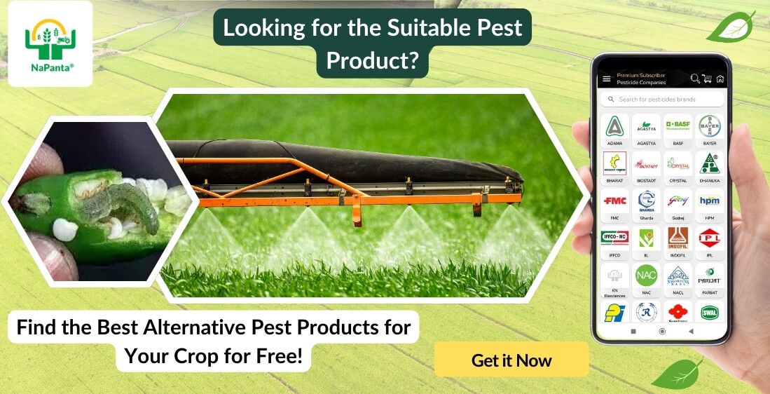 pestproducts